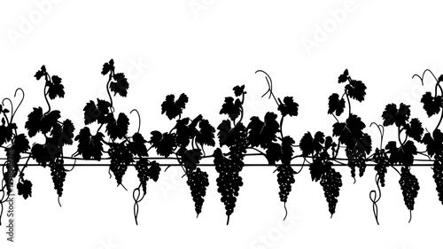 Grape vines trained on wires in a vineyard, Plant Digital Art