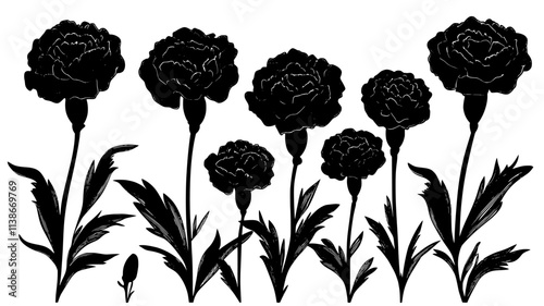 Group of border carnations arranged neatly in a flowerbed, Plant Digital Art