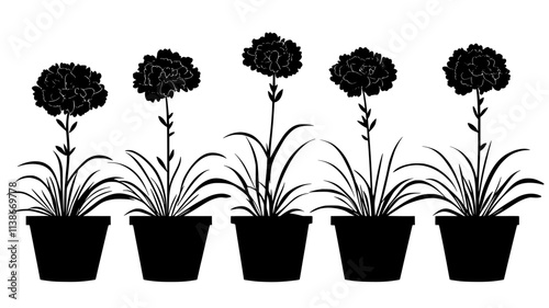Group of carnation plants with grass-like foliage in a planter, Plant Digital Art