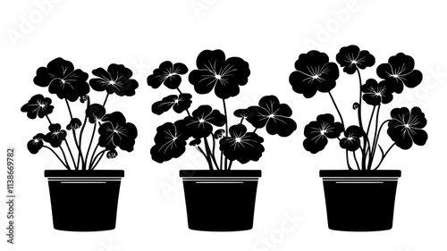 Begonias growing in a potted container on a backyard patio, Plant Digital Art