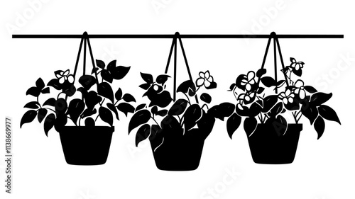 Hanging baskets of fuchsias from greenhouse rafters, Plant Digital Art
