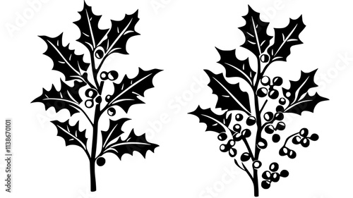 Holly bush with spiny, evergreen leaves and bright red berries on the branches, Plant Digital Art