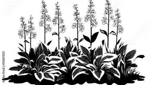 Hostas with flower stalks in a shaded garden bed, Plant Digital Art