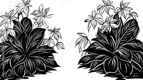 Hostas with large leaves bordering a shaded path, Plant Digital Art