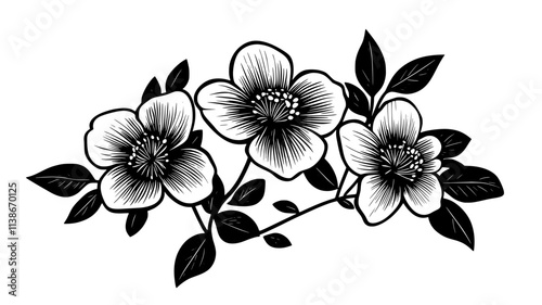 Hellebore flowers nodding in the winter shade garden, Plant Digital Art