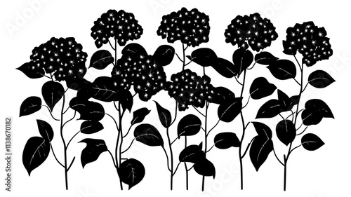 Hydrangea bush covered in large flower heads, various shades of blue and pink, Plant Digital Art