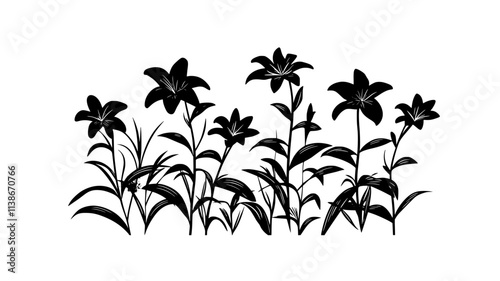 A lily patch featuring Oriental lilies blooming at various heights, Plant Digital Art