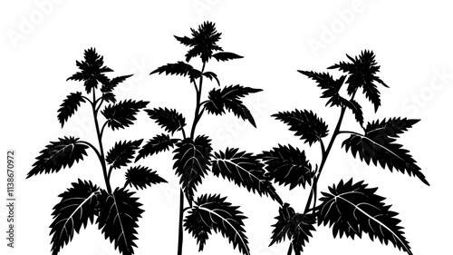 Nettle plants growing wild for fiber extraction and industrial use, Plant Digital Art