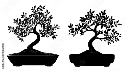 Olive bonsai with gnarled trunk in Mediterranean style, Plant Digital Art