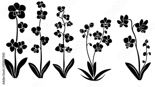 Orchid stem with buds at various stages of development, Plant Digital Art
