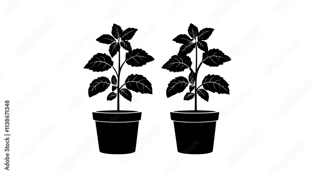 Obraz premium Peppermint plants spreading in a container garden outdoors, Plant Digital Art