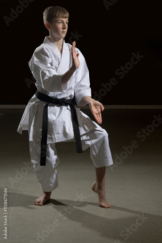 Teenage Male Karate Black Belt photo