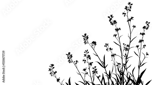 Rosemary plant with small flowers along woody stems, Plant Digital Art