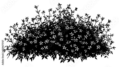 A rounded bush with clusters of tiny, star-shaped flowers covering the surface, Plant Digital Art
