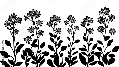 Sedum plants with flat-topped flower clusters, Plant Digital Art