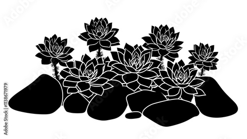 Sempervivum with multiple rosettes of pointed leaves in a rock garden, Plant Digital Art