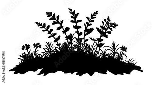 Selaginella with small, scale-like leaves covering ground in terrarium, Plant Digital Art
