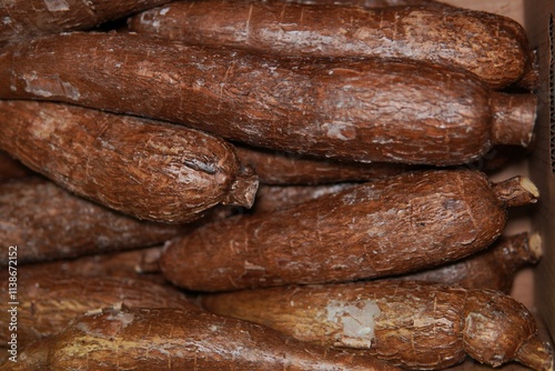 Cassava. Manihot esculenta. A starchy root vegetable widely cultivated in tropical and subtropical regions. Cassava has industrial uses including the production of adhesives, biofuels, and textiles.