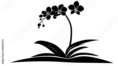 A single Dendrobium orchid growing from its thick green stalk, Plant Digital Art