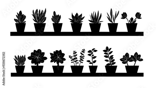 Succulent plants arranged on shelves for retail, Plant Digital Art