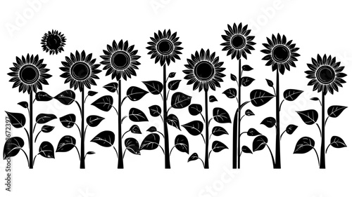 Sunflower field with mature heads ready for oil extraction, Plant Digital Art