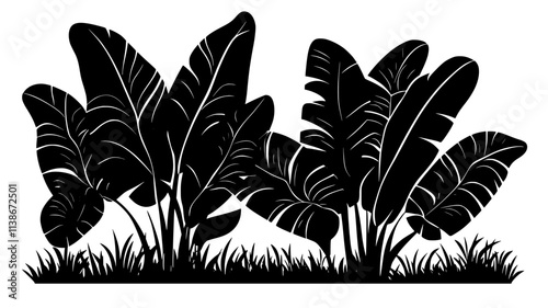 Teak plantation with large leaves in a tropical setting for high-quality wood, Plant Digital Art