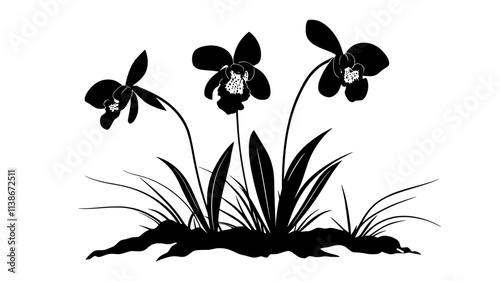 Terrestrial orchid species growing in a forest floor environment, Plant Digital Art