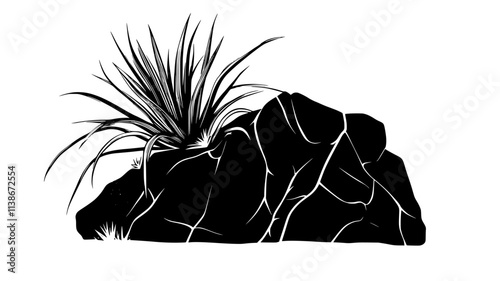 Tillandsia growing from a crack in a boulder face, Plant Digital Art