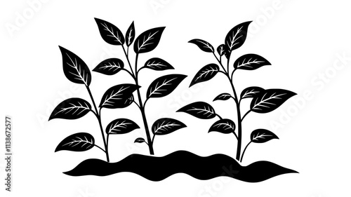 Tobacco plants growing in Native American ceremonial field, Plant Digital Art