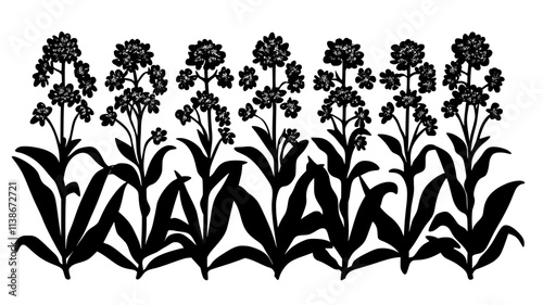 Valerian plant with clusters of small flowers in field, Plant Digital Art