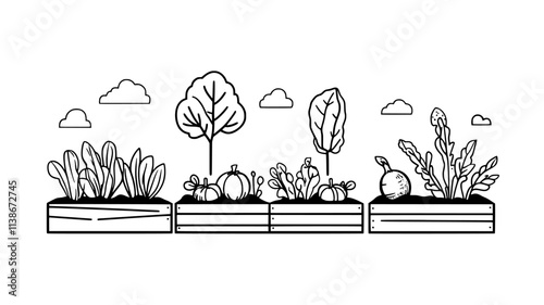 Vegetable garden with raised beds in backyard, Plant Digital Art