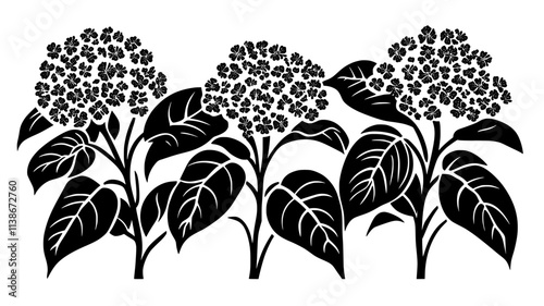 Viburnum with opposite leaves and clusters of small flowers, Plant Digital Art