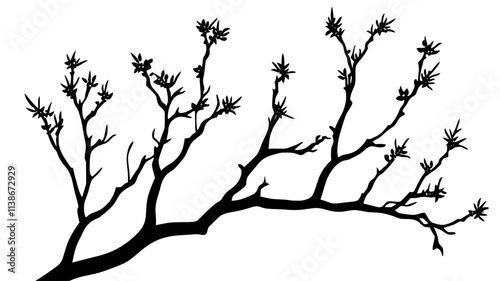 Witch hazel blooming on bare branches in winter, Plant Digital Art