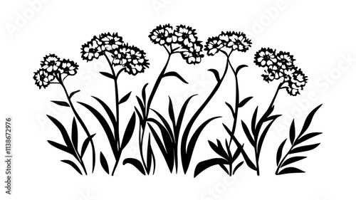 Yarrow plants flowering in a wild meadow setting, Plant Digital Art