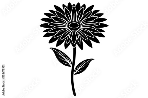 Botanical Art in Line Silhouette Gaillardia Flower Illustration photo