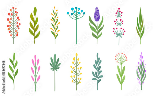 Floral Flat set of branches leaves, bud stems, berries flowers greenery. Hand drawn botanical plants foliage, herbs twigs petals blossoms, sprigs wildflowers seedpods and leaf clusters