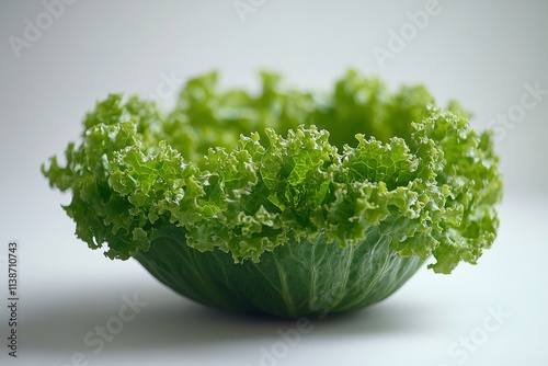 Fresh green lettuce showcasing vibrant leaves and texture on a plain background
