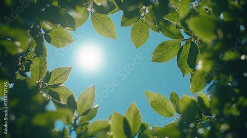 Sunlight filtering through lush green leaves in a serene outdoor setting