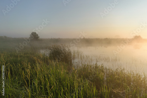 morning fog on the river