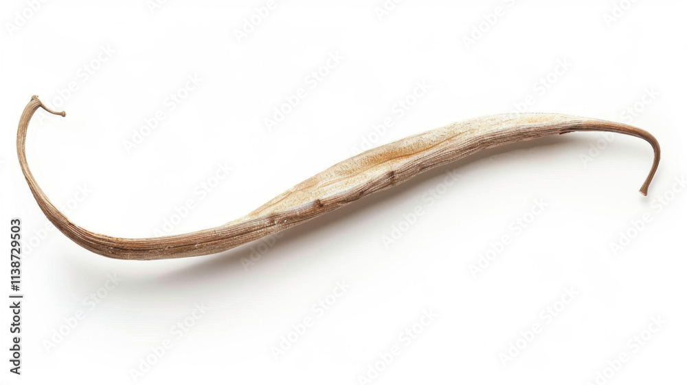 Fototapeta premium vanilla bean isolated on white background
