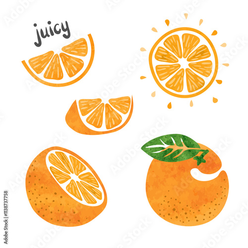 Orange fruit set. Vector watercolor collection of fresh oranges