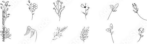 Wallpaper Mural Floral elements set. Hand-drawn botanical line art creates a delicate floral pattern, perfect for minimalist designs. Illustration, vector Torontodigital.ca