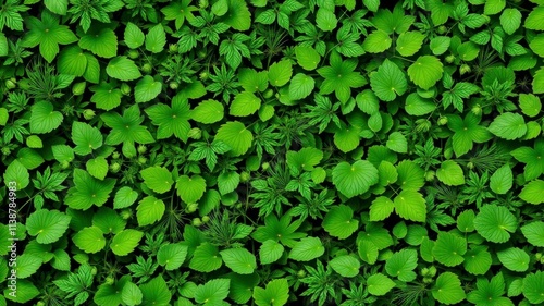 Seamless grass border ideal for digital projects, vegetation, plant