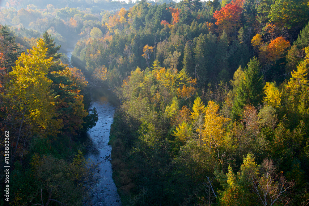 Sunlight of early morning in the river valley in autumn