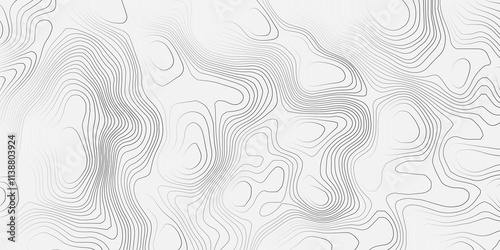 Abstract topography wave paper curved reliefs grey and white line background, contours topography map background, topography and geography map grid background, Abstract vector illustration