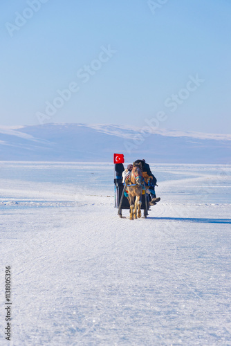equestrian sleigh and horse in frozen Çıldır Lake