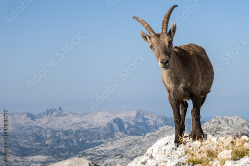 Julische Alpen 2