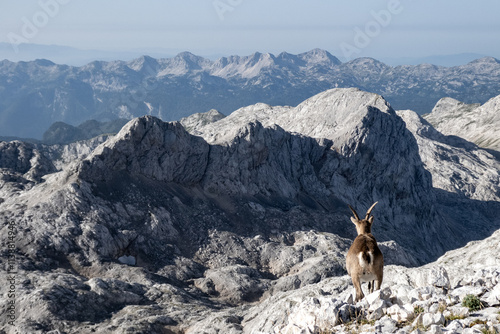 Julische Alpen