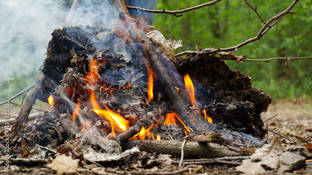 Close-up view of campfire flames dancing around logs and dry leaves, creating a captivating display of light and heat in a forest clearing. Close-up view of campfire flames dancing around logs and dry leaves, creating a captivating display of light and heat in a forest clearing.