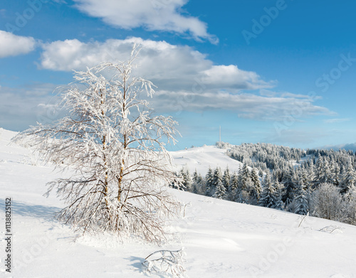 Winter hoar frosting trees,  tower and snowdrifts (Carpathian mountain, Ukraine) photo